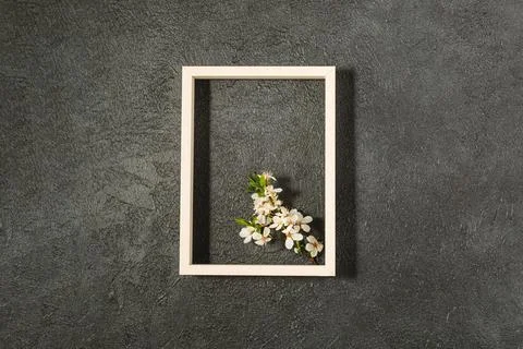 Spring background with cherry blossoms Stock Photos