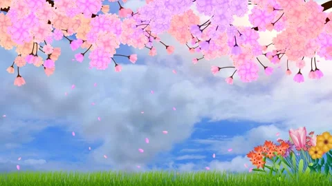 Spring background with cloud timelapse and beautiful flower branch Stock Footage 265140534