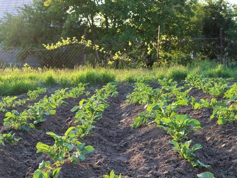 Spring background with copy space Stock Photos