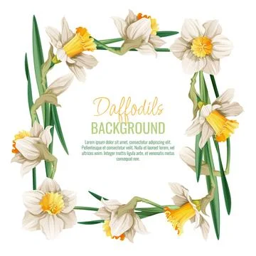 Spring background with daffodils. Postcard, banner for Easter. Spring time... Stock Illustration