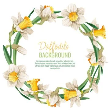 Spring background with daffodils. Postcard, banner for Easter. Spring time... 스톡 일러스트