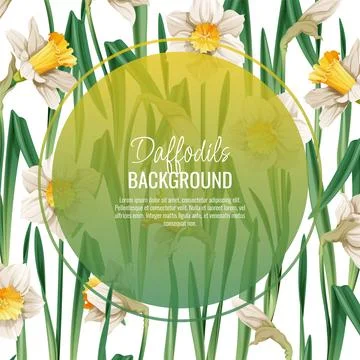 Spring background with daffodils. Postcard, banner for Easter. Spring time... Illustrazione stock