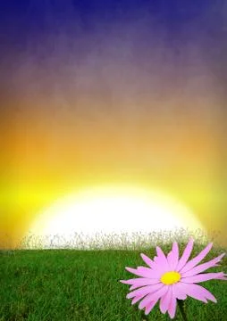 Spring background with early evening sky Illustrazione stock