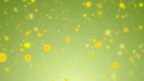 Spring Background with falling flowers Stock Footage 236421893