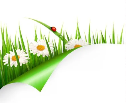 Spring background with flowers, grass and a ladybug. vector. Stock Illustration