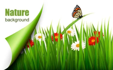 Spring background with flowers, grass and a butterfly. vector. Stock Illustration