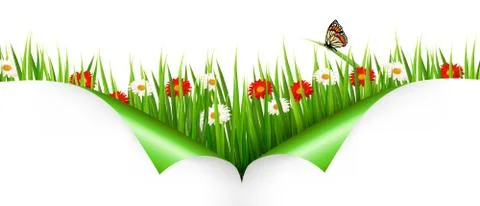 Spring background with flowers, grass and a ladybug. vector. Stock Illustration