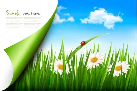 Spring background with flowers, grass and a butterfly. vector. Stock Illustration