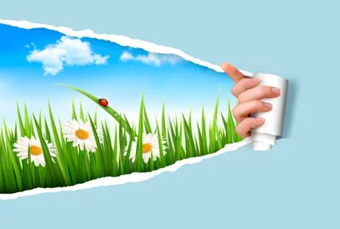 Spring background with flowers, grass and a ladybug. vector. Stock Illustration