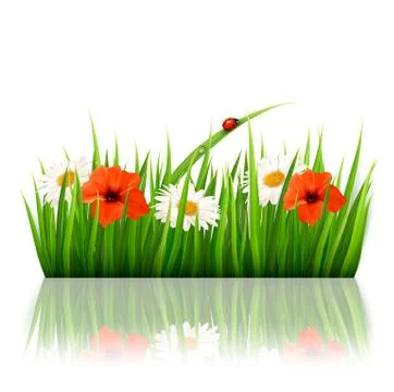 Spring background with flowers, grass and a ladybug. vector. Stock Illustration