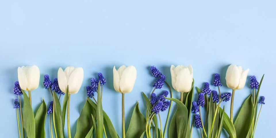 Spring background of flowers Stock Photos