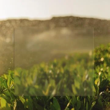 Spring background with fresh grass and glassmorphism card Stock Photos