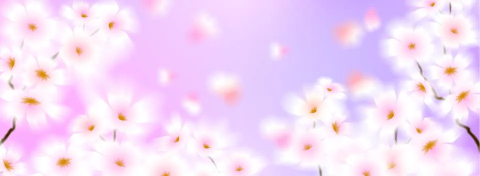 Spring background, gradient blur of sakura flowers 스톡 일러스트