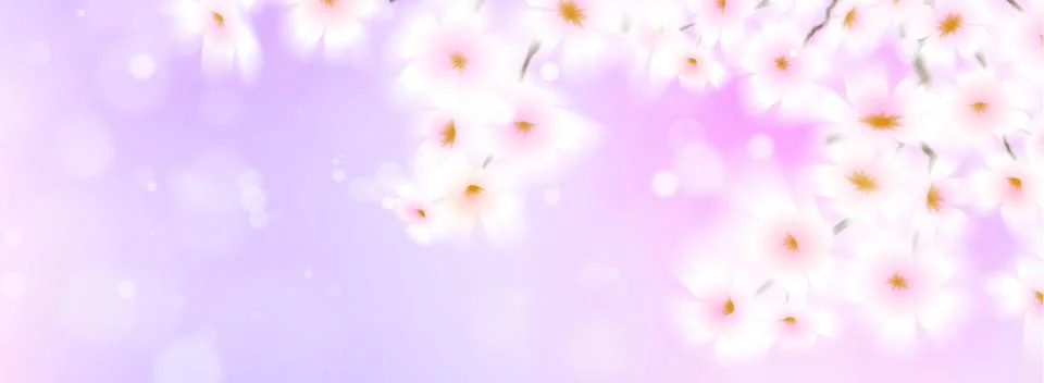 Spring background, gradient blur of sakura flowers Stock Illustration