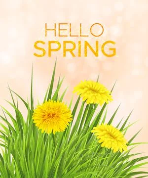 Spring background with grass and dandelions Stock Illustration