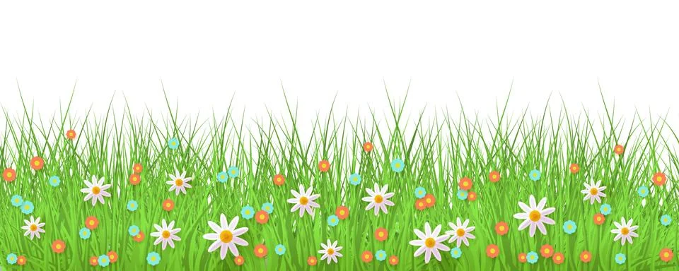 Spring background with grass and flowers border on white backdrop with empty Illustrazione stock