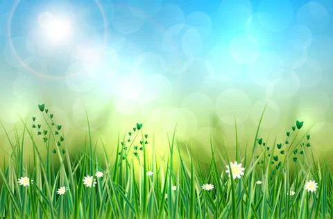 Spring background with grass, flowers and blurred background Stock Illustration