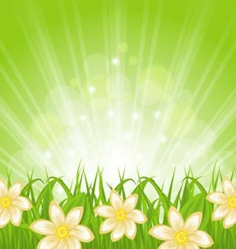 Spring background with green grass and flowers Stock Illustration