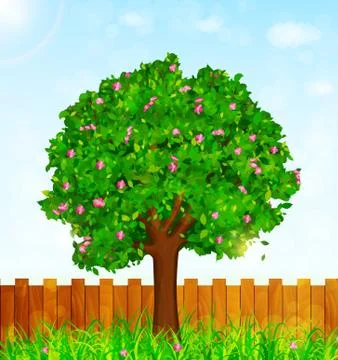 Spring background with green grass, blossoming tree and garden fence 스톡 일러스트