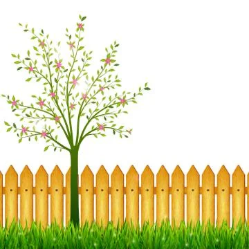 Spring background with green grass, blossoming tree and garden fence Stock Illustration