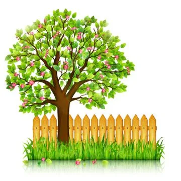 Spring background with green grass, blossoming tree and garden fence vector 스톡 일러스트