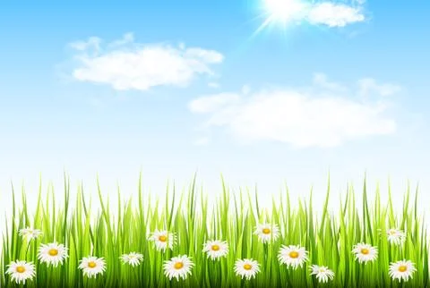 Spring background with green grass Stock Illustration