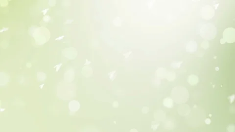 Spring background with green leaves bokeh petal and birds Stock Footage 103232776