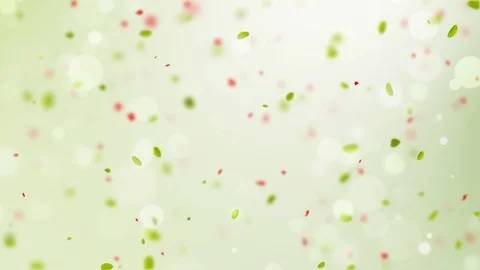 Spring background with green leaves bokeh petal and birds Stock Footage 103232889