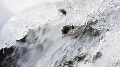 Spring background icicle melts Stock Footage 74099981