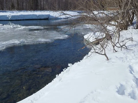 Spring background icicle melts Stock Footage