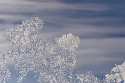 Spring background with icicles. Stock Photos
