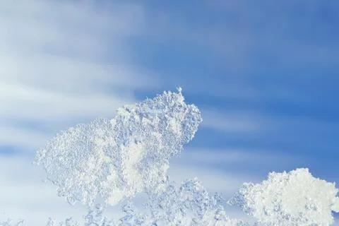 Spring background with icicles. Stock Photos