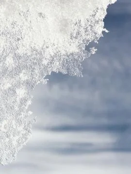 Spring background with icicles. Stock Photos