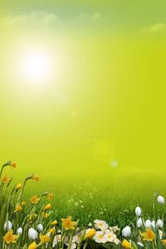 Spring background Stockillustratie