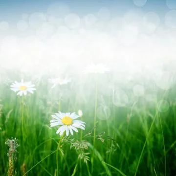 Spring background Stock Illustration