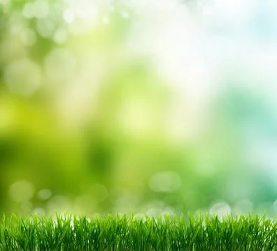 Spring background Stock Illustration