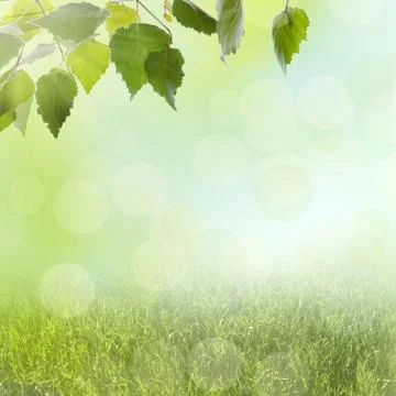 Spring background Ilustración de archivo