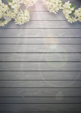 Spring background Stock Illustration