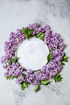 Spring background lilac around empty plate. Gray concrette background Stock Photos