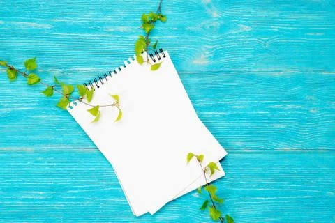 Spring background, notebook with birch branches over turquoise table Foto stock