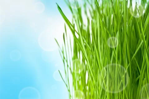 Spring background Stock Photos