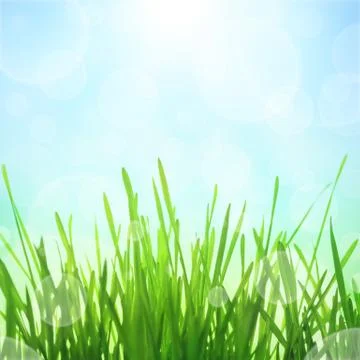 Spring background Stock Photos