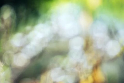 Spring  background Stock Photos