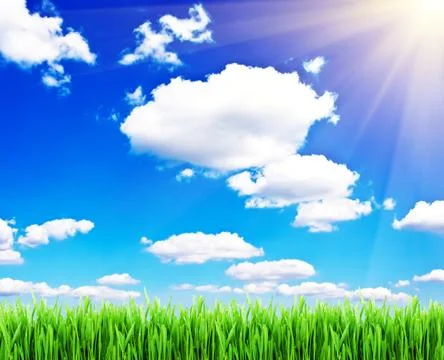 Spring background Stock Photos