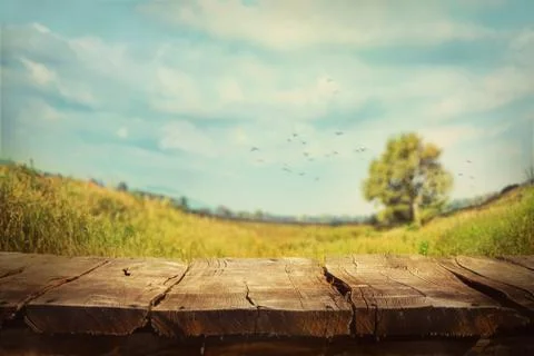 Spring background Stock Photos