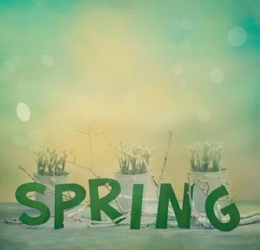 Spring background Stock Photos