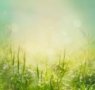Spring background Stock Photos