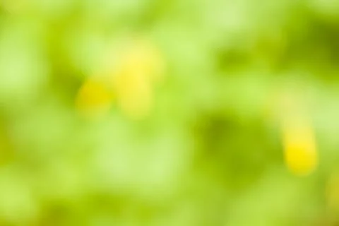 Spring Background Stock Photos