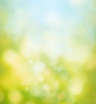 Spring  background. Stock Photos