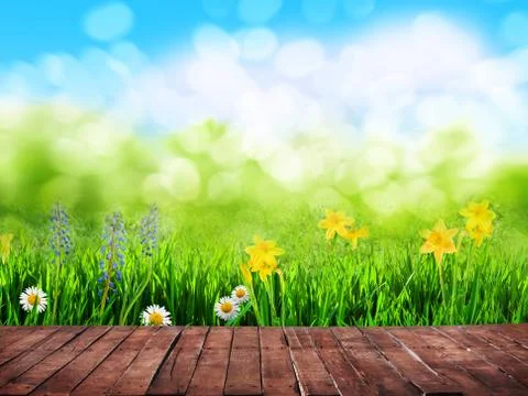 Spring background Stock Photos